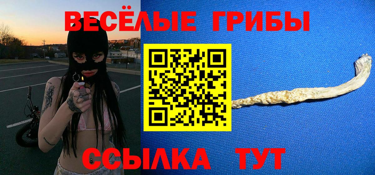 Галлюциногенные грибы ЛСД  где можно купить наркотик  Вход с VPN  Батайск  Псилоцибиновые грибы мухоморы 